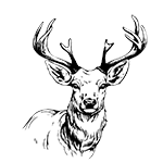 Wild category icon/image