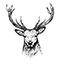 Wild category icon/image